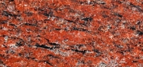 Vanga